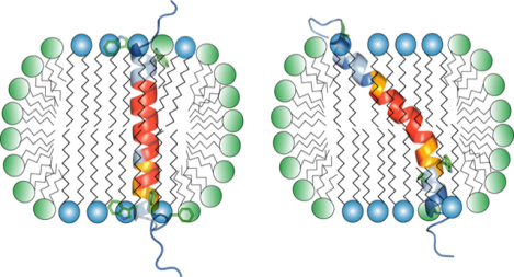 graphic file with name nihms-1985141-f0001.jpg