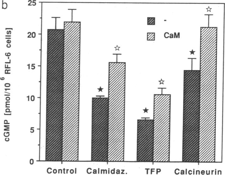 graphic file with name pnas01055-0208-d.jpg