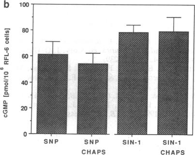 graphic file with name pnas01055-0208-c.jpg