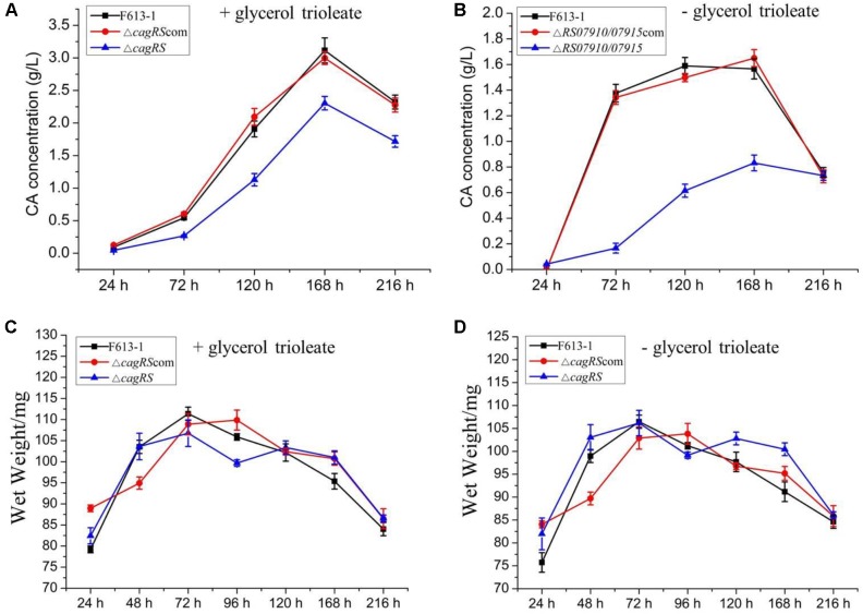 FIGURE 3