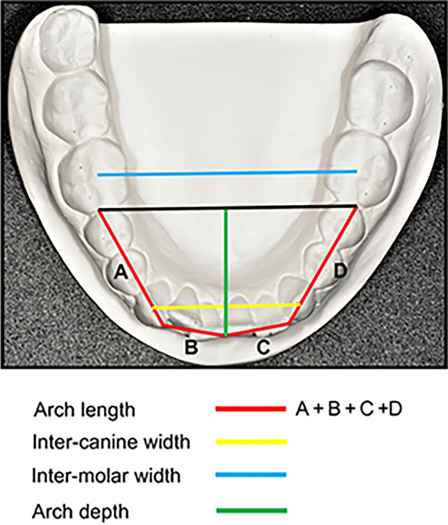 Fig. 3