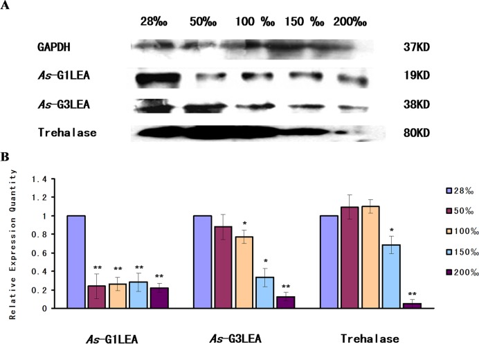 Fig 10