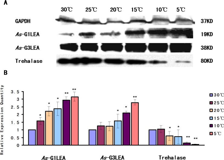 Fig 9