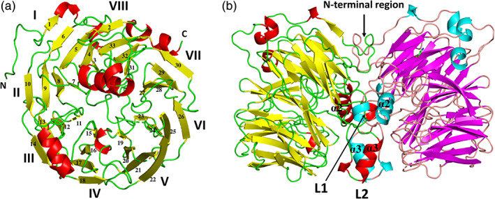 FIGURE 1