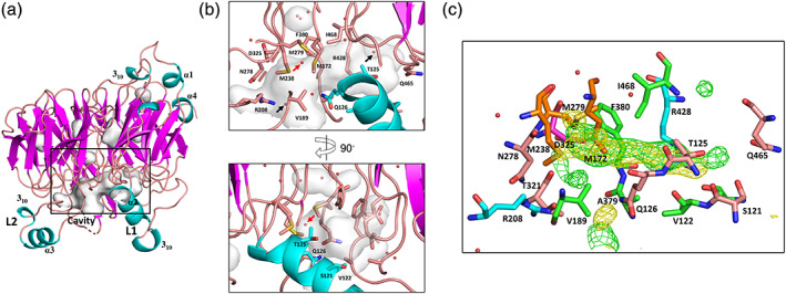 FIGURE 2