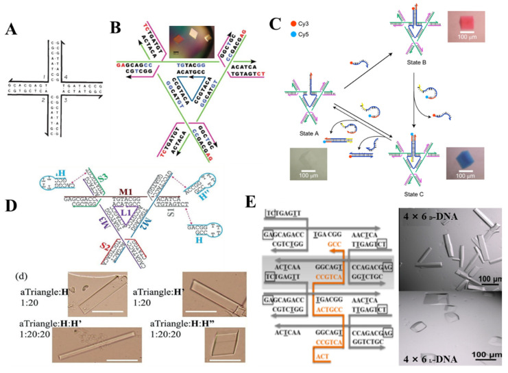 Figure 4