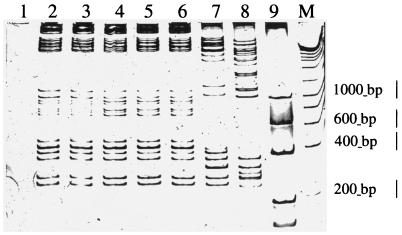 FIG. 5.