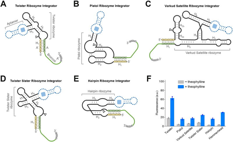 Figure 3.