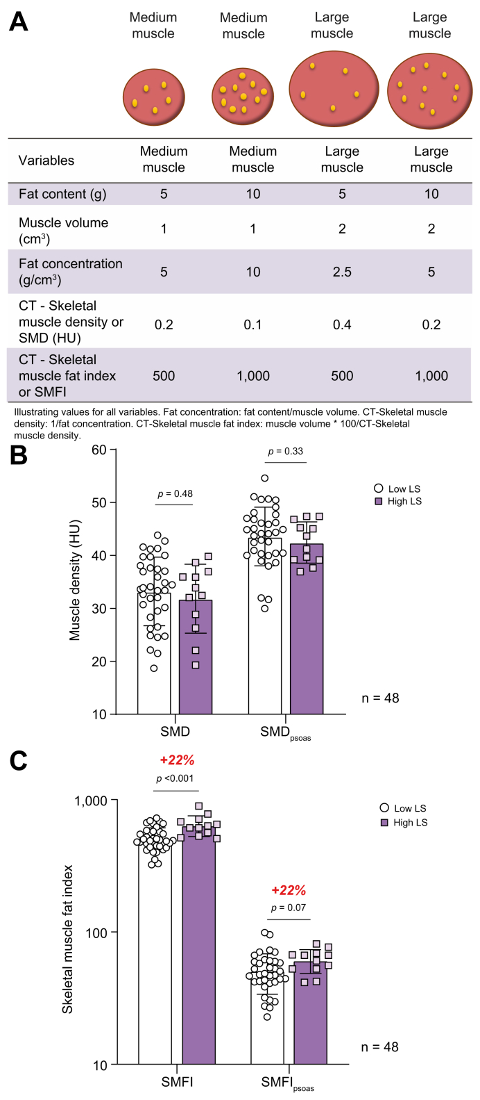 Fig. 2