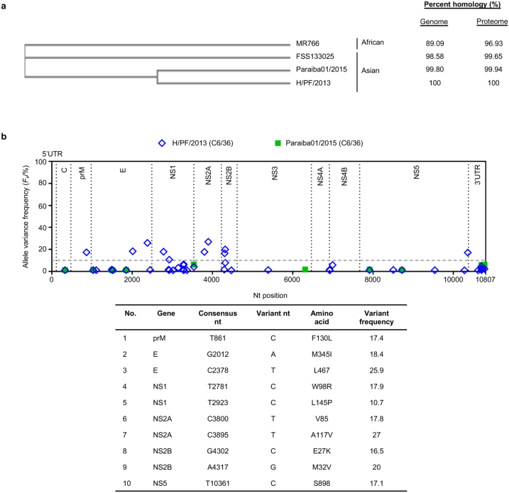 Figure S1