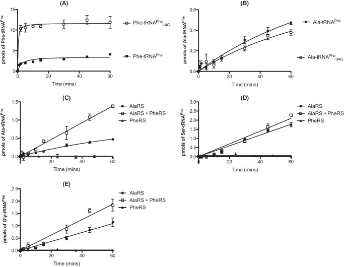 FIGURE 4.