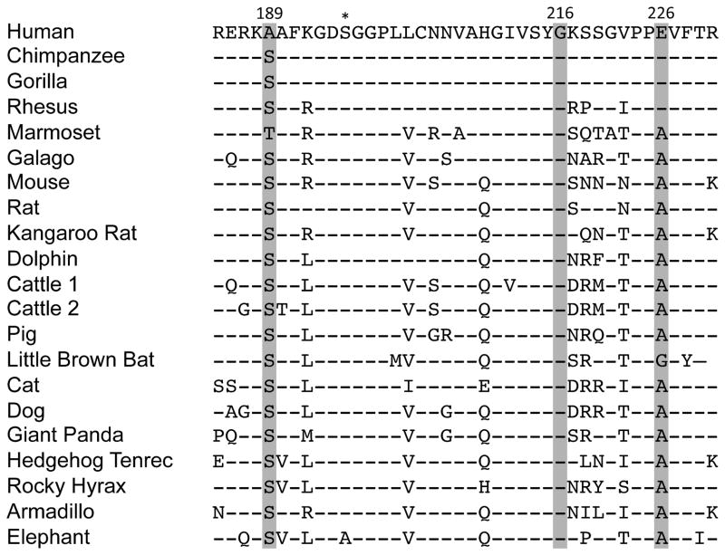 FIGURE 1