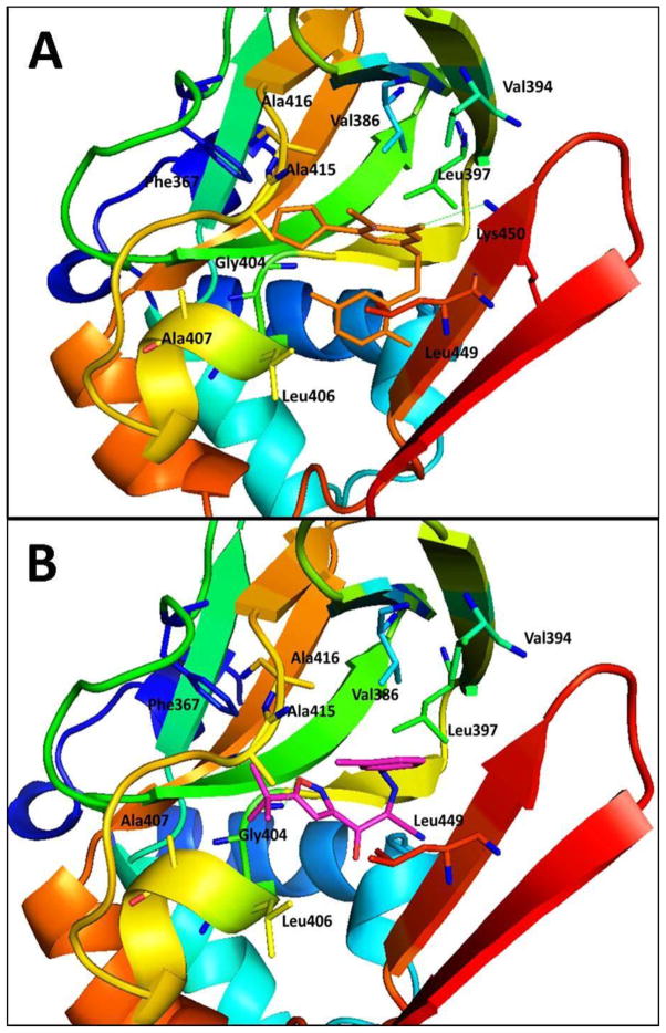 Figure 11