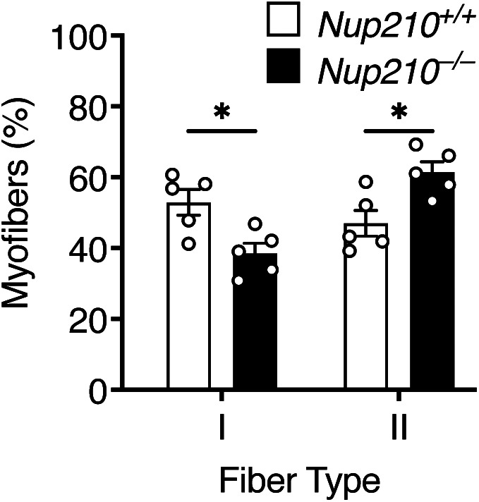 Figure S4.