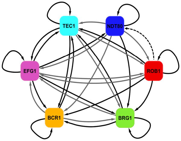 Figure 7