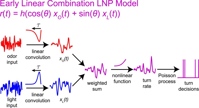 Figure 3—figure supplement 2.