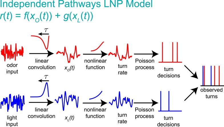 Figure 3—figure supplement 1.