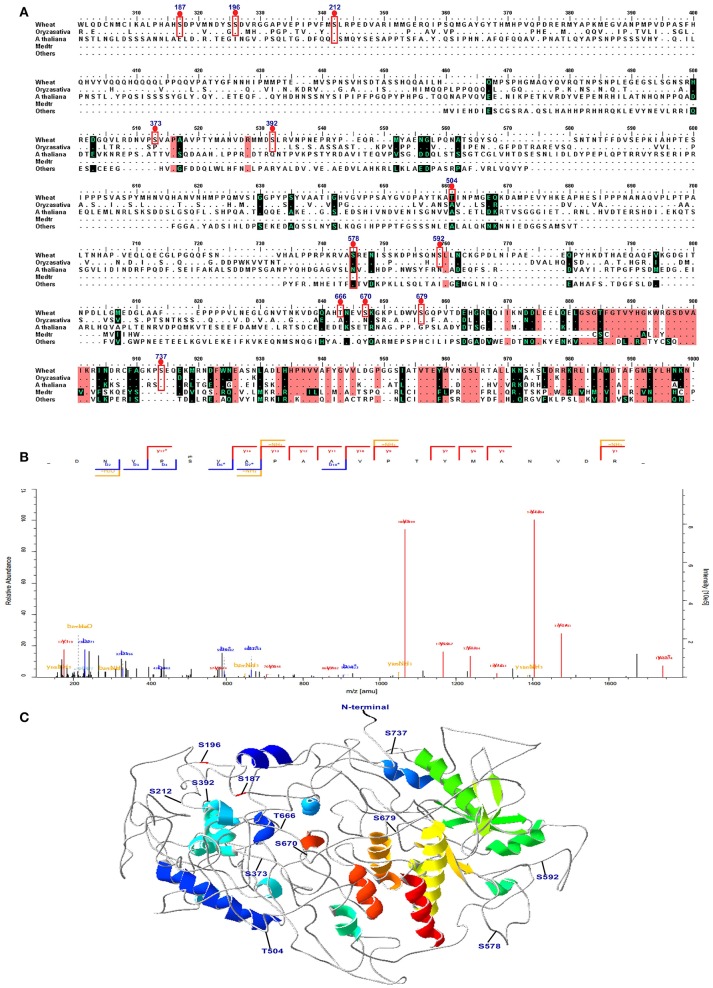 Figure 6