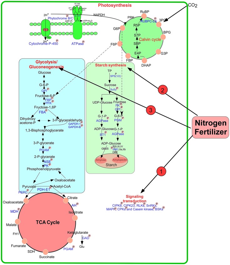 Figure 9