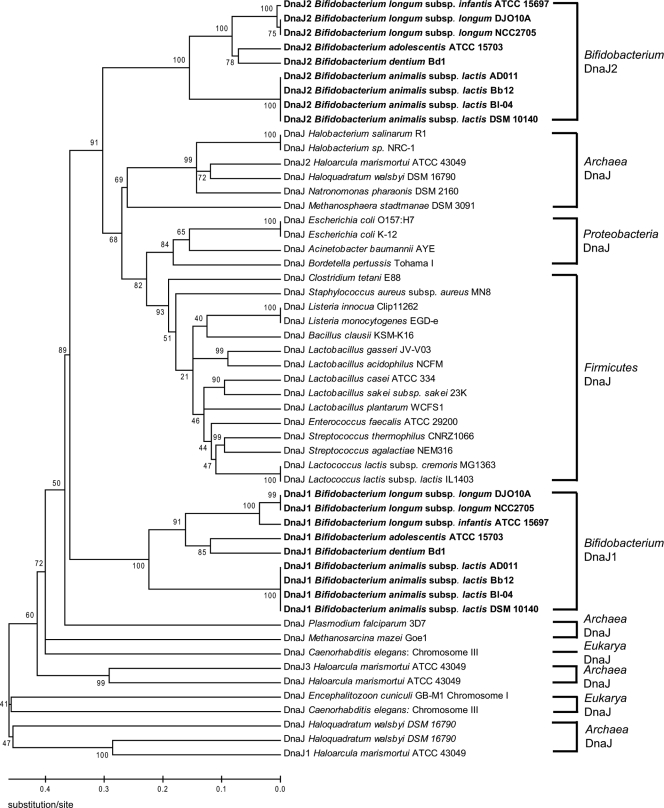 FIG. 8.