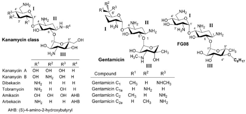 Fig.1