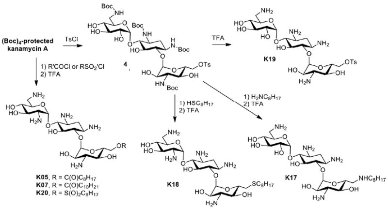 Scheme 2