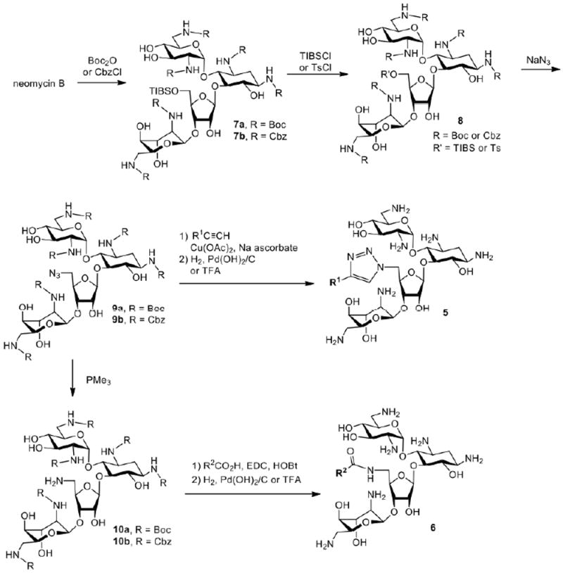 Scheme 3