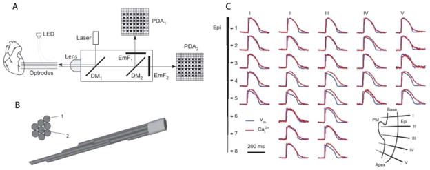 Figure 7