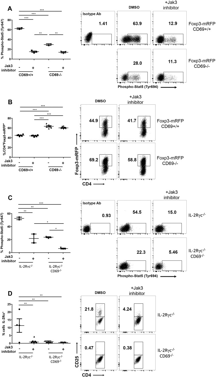 FIG 6