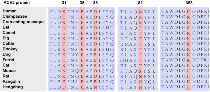 Figure 2