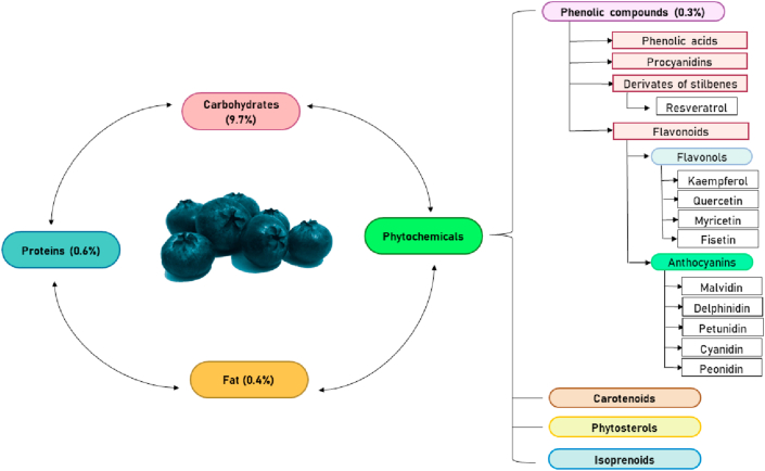 Figure 1