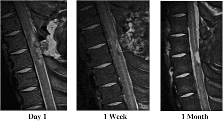 FIG. 6.