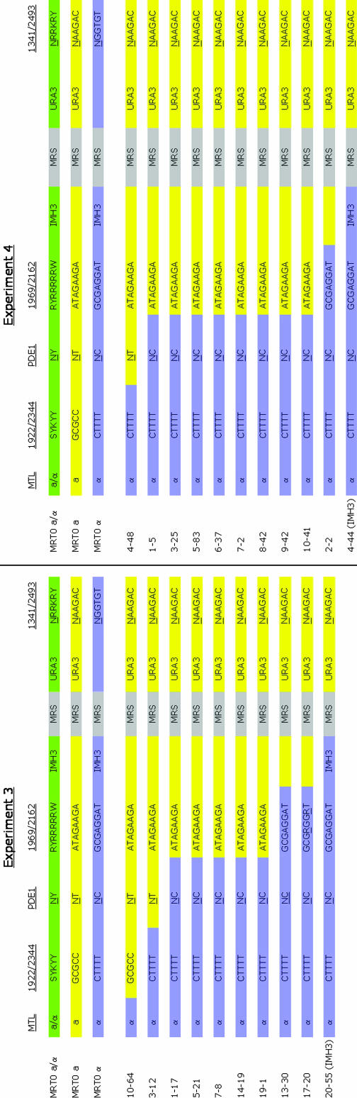 Figure 2.—