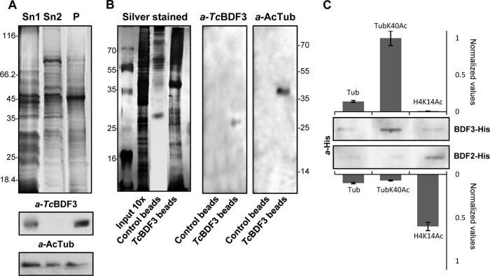 FIG 6