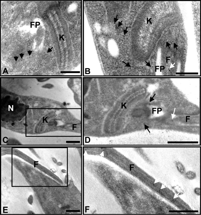 FIG 2