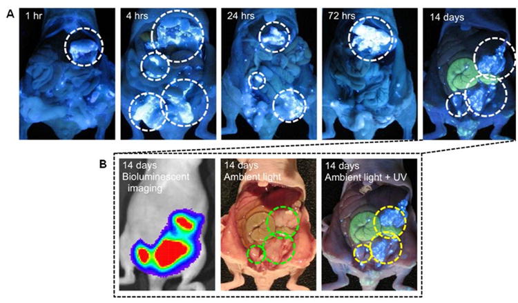 Fig. 3