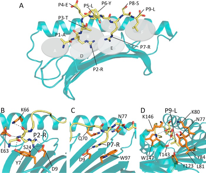 Figure 3.