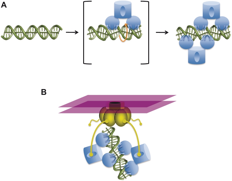 Figure 7.