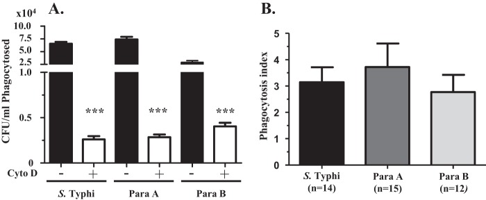 FIG 1