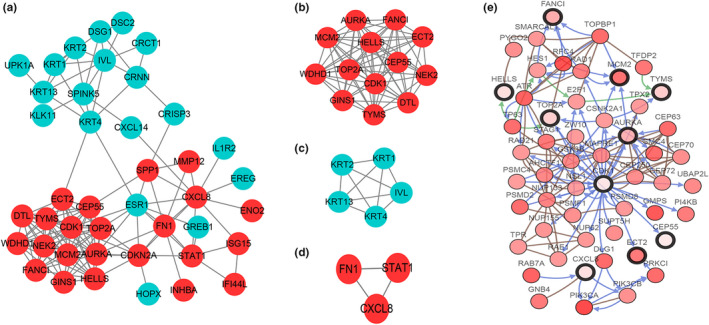 FIGURE 4