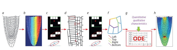 Fig. 3.