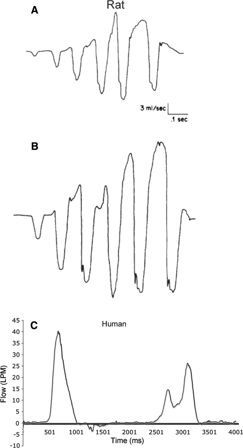 Fig. 3