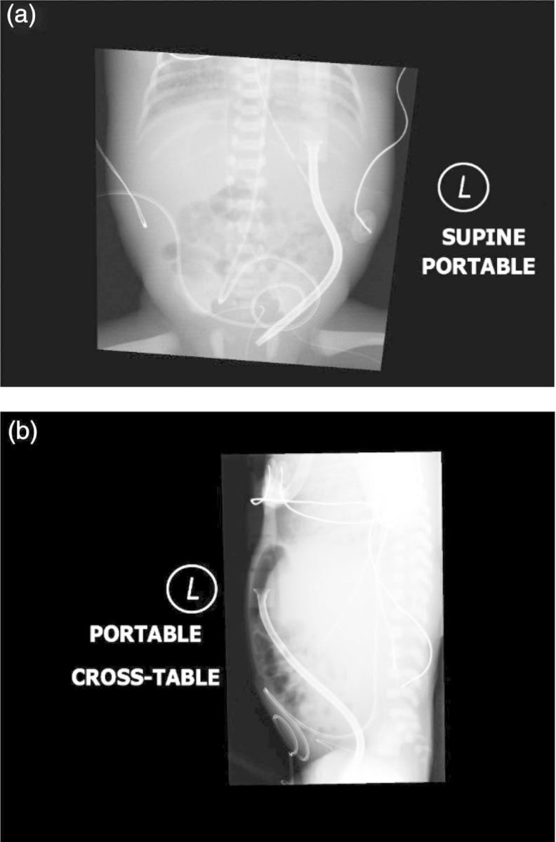 Fig. 1.