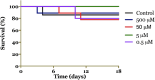 Figure 4.