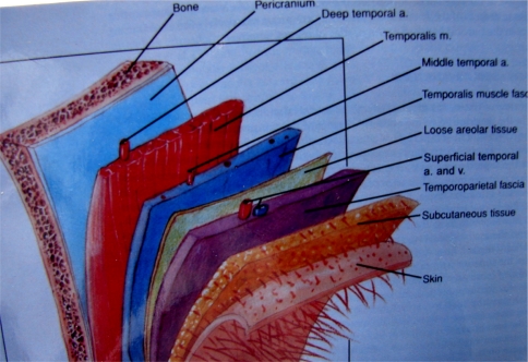 Fig. 7