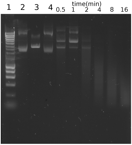 Figure 4.