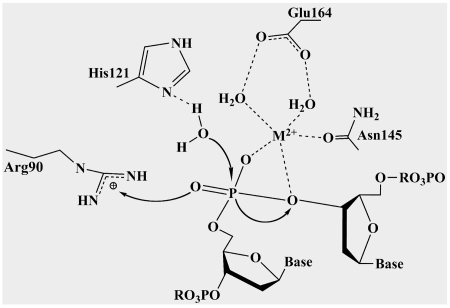 Figure 9.