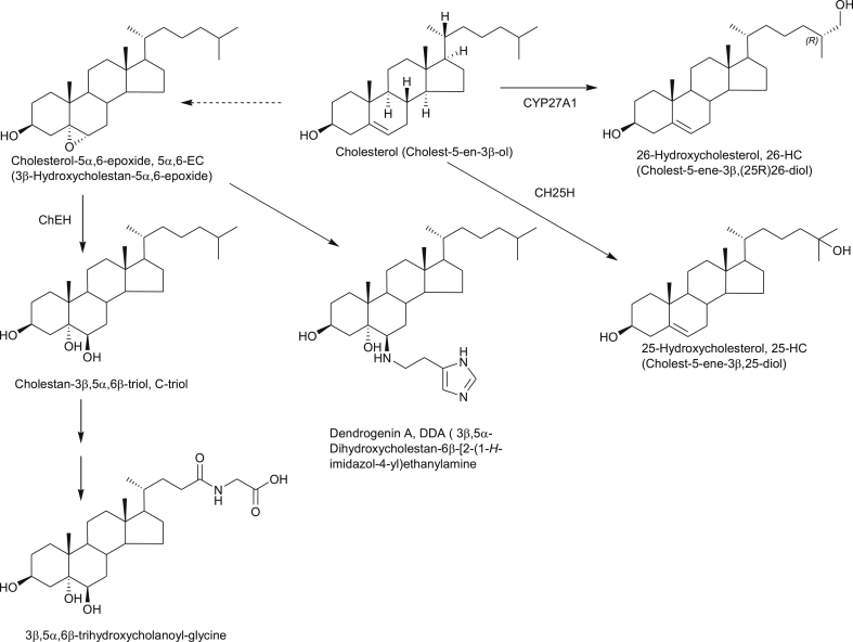 Fig. 4