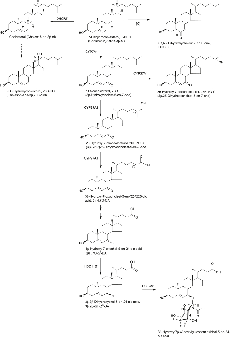 Fig. 3