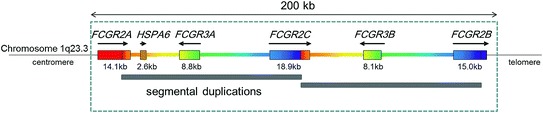 Fig. 1